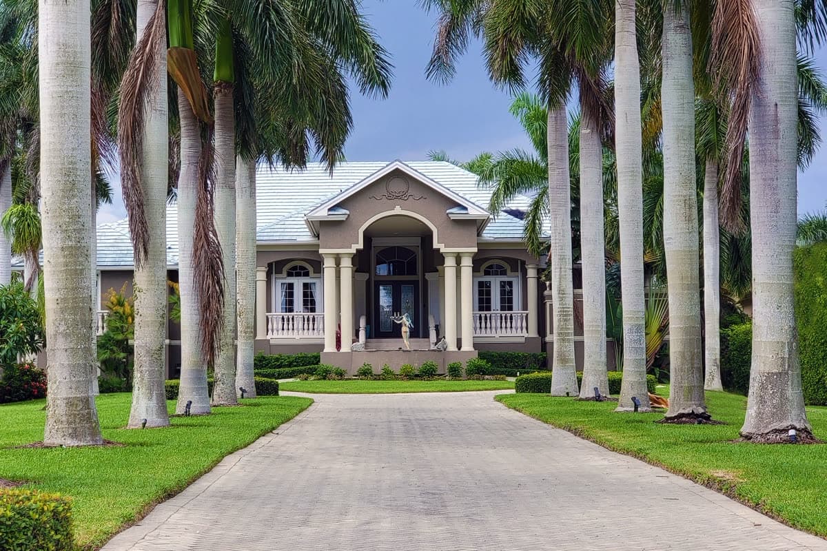 Avenida de entrada a una vivienda flanqueada por palmeras altas bajo un cielo azul